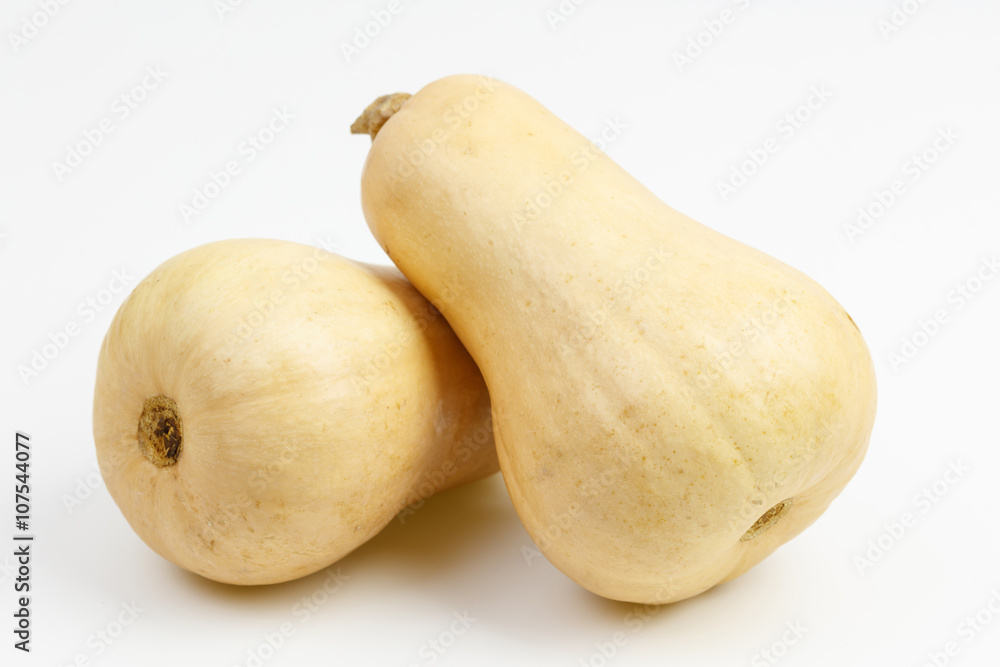 Two butternut squash fruits, on white background. Two butternut squash fruits, on white background.