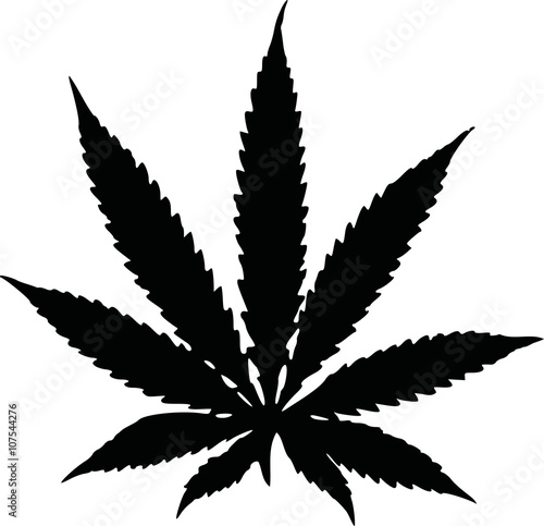 Marijuana hemp leaf