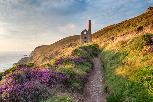 Summer on the Coast Path © Helen Hotson
