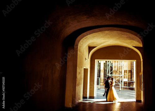 Fairytale couple of newlyweds hugging under archway hall at suns