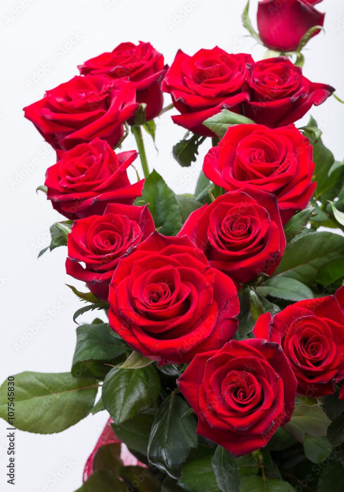 bouquet of blossoming dark red roses bouquet of blossoming dark red roses