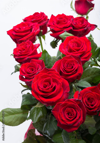 bouquet of blossoming dark red roses