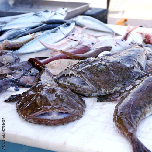 Εκτύπωση καμβά monkfish at fishmarket