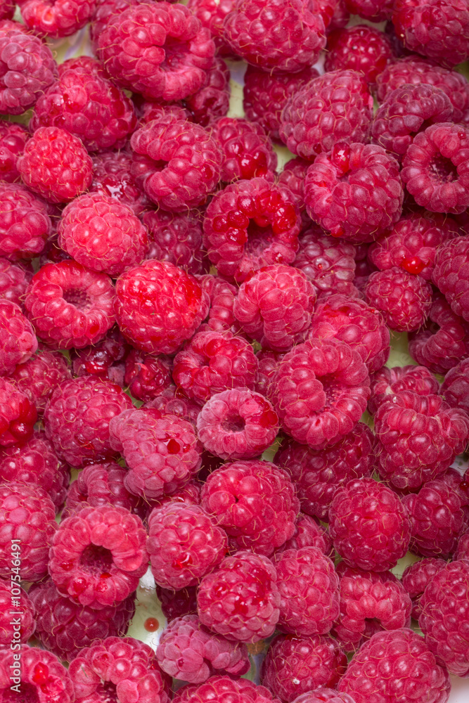 A beautiful selection of freshly picked ripe red raspberries. A beautiful selection of freshly picked ripe red raspberries.