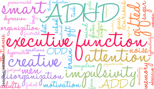 Executive Function word cloud on a white background.