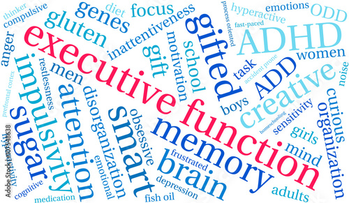 Executive Function word cloud on a white background.