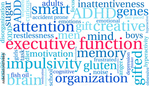 Executive Function word cloud on a white background. 