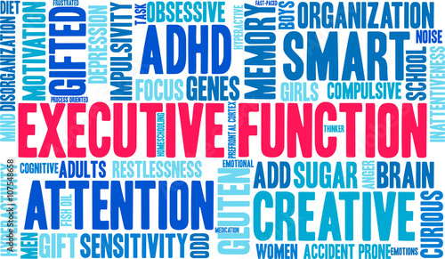 Executive Function word cloud on a white background. 