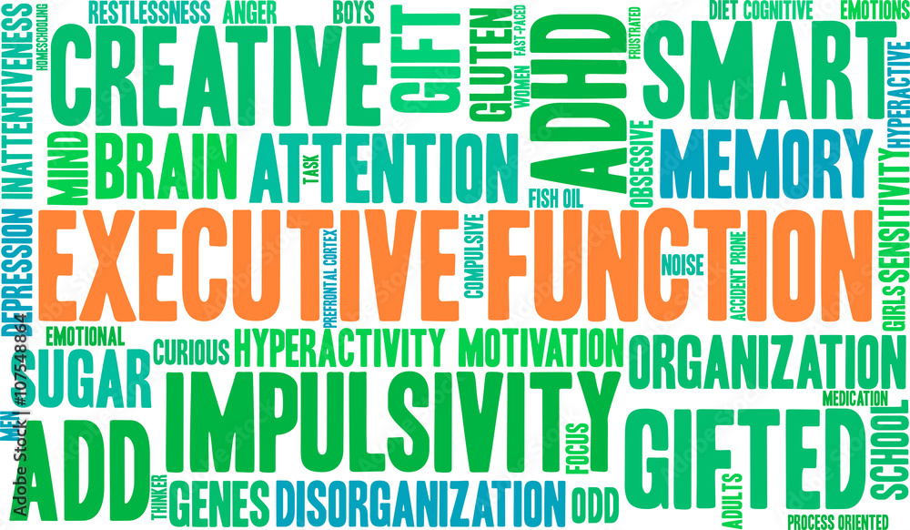 Executive Function word cloud on a white background. Executive Function word cloud on a white background.