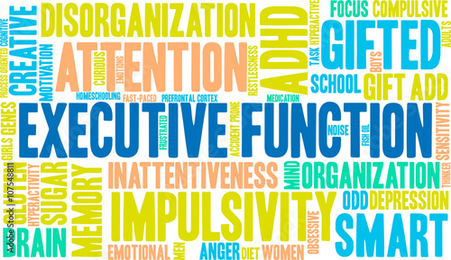 Executive Function word cloud on a white background. 
