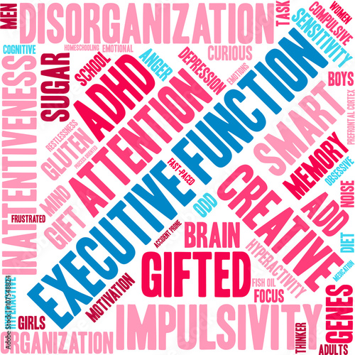 Executive Function word cloud on a white background. 