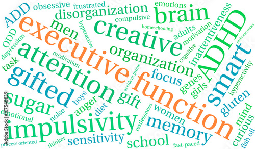 Executive Function word cloud on a white background. 