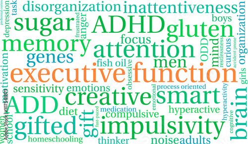 Executive Function word cloud on a white background. 
