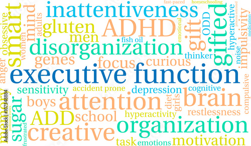 Executive Function word cloud on a white background. 