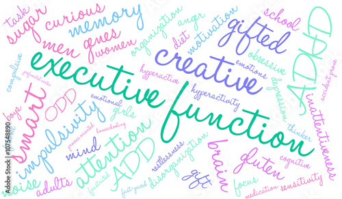 Executive Function word cloud on a white background. 