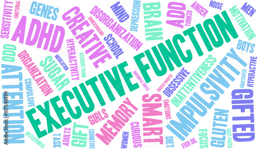 Executive Function word cloud on a white background. 