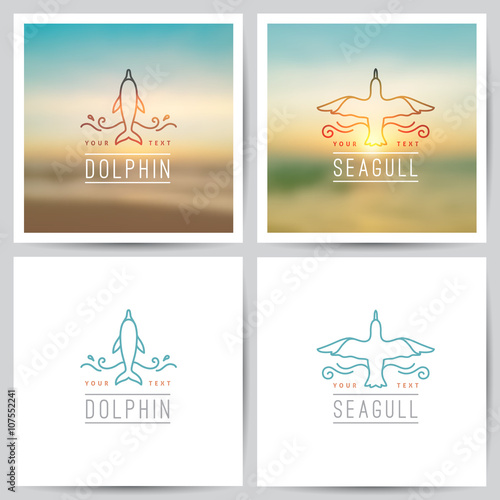 vector logo, dolphin and seagull