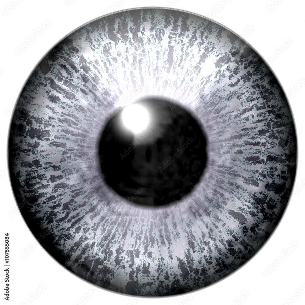 Detail of eye with grey colored iris and black pupil Detail of eye with grey colored iris and black pupil