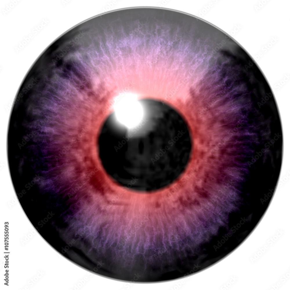 Detail of eye with pink, purple colored iris and black pupil Detail of eye with pink, purple colored iris and black pupil