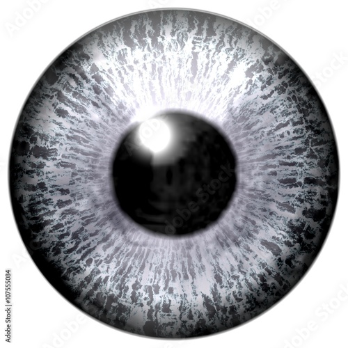 Detail of eye with grey colored iris and black pupil