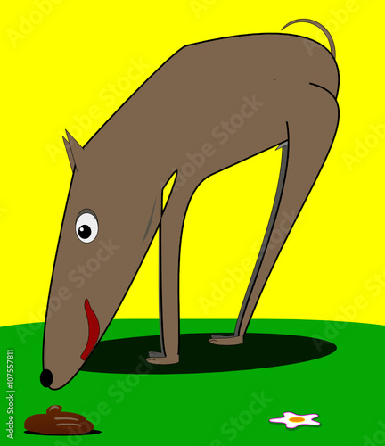 Perro en el parque oliendo una caca