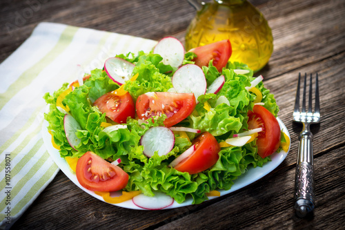 Fresh salad-healthy food, diet nutrition