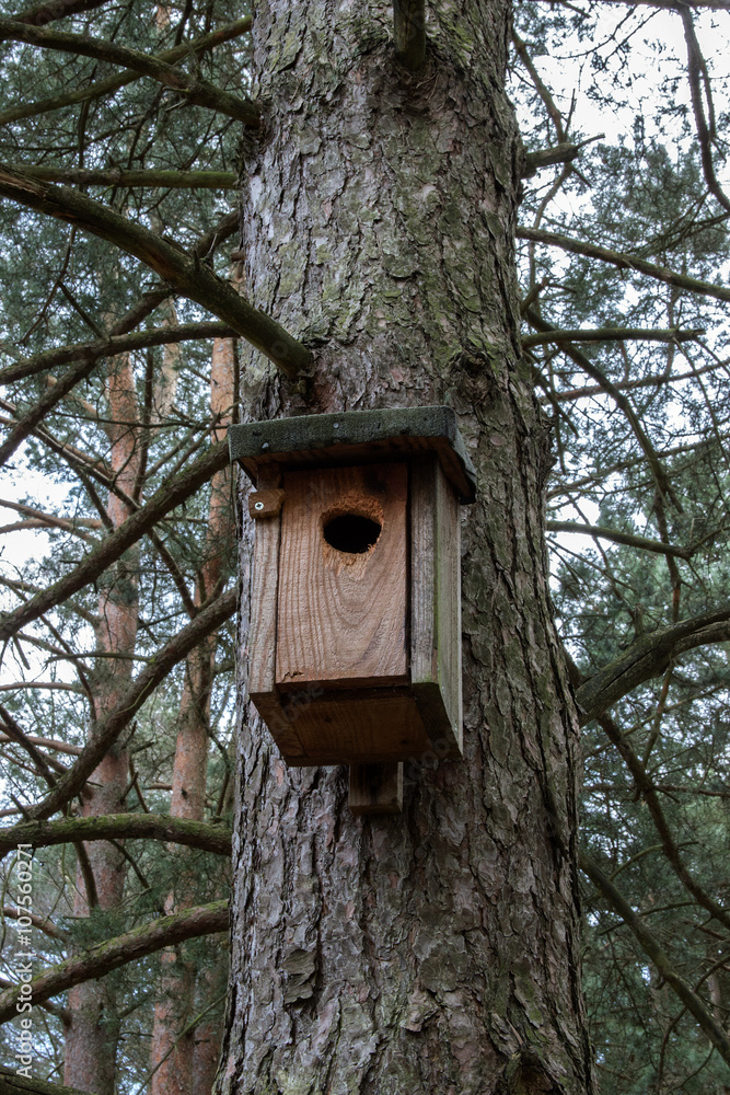 Vogelhaus an einen Baum im Naturschutzgebiet
Birdhouse on a tree in the nature reserve