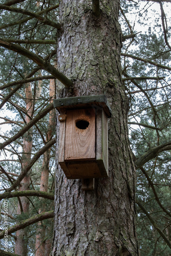 Vogelhaus an einen Baum im Naturschutzgebiet Birdhouse on a tree in the nature reserve