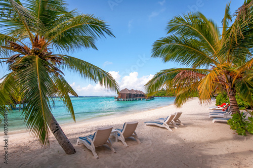 Maldivian tropical beach with sun beds and coconut palms