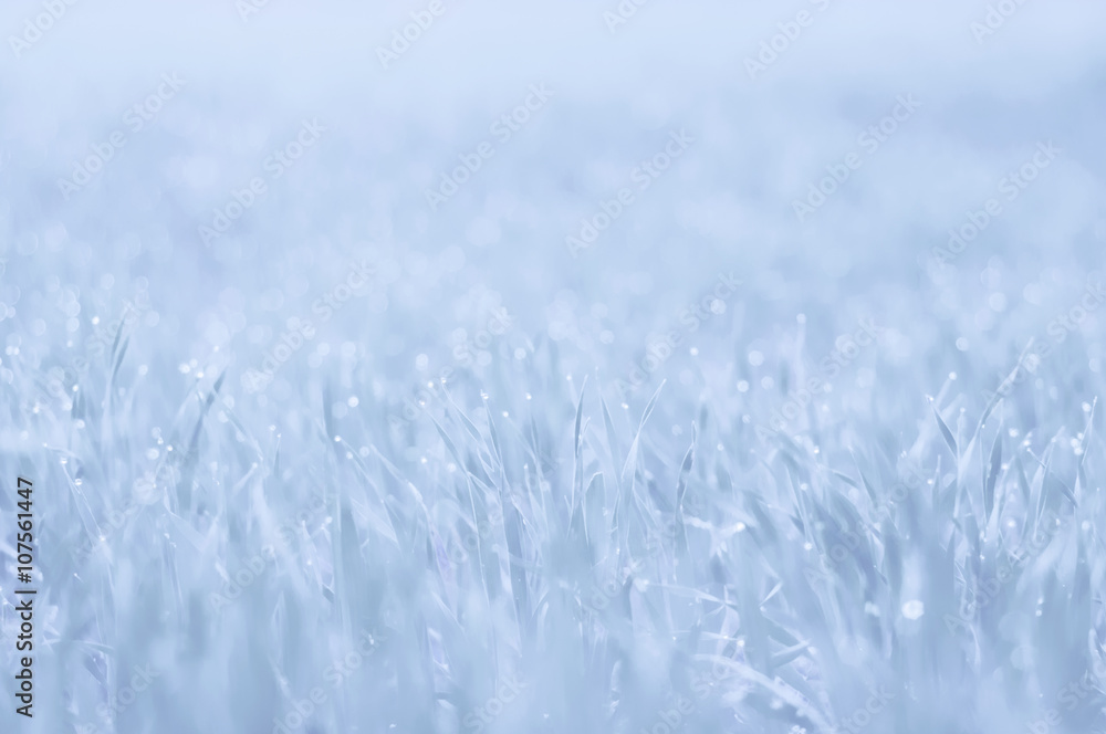 Fototapeta premium Streszczenie tło w kolorze jasnoniebieskim. Zimowy.