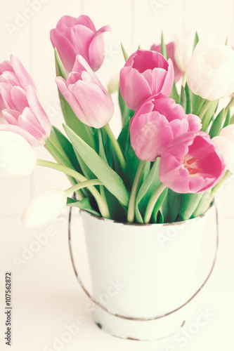 Fototapeta Naklejka Na Ścianę i Meble -  Pink and white tulips in a vintage white tin bucket