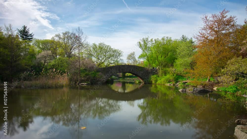 day light new york central park pond bridge panoramic view 4k time lapse usa
day light new york central park pond bridge panoramic view 4k time lapse usa