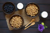 Dried berry and oatmeal breakfast cereal in rustic bowls with glasses of milk and fresh blueberries, photographed overhead on dark wood with natural light