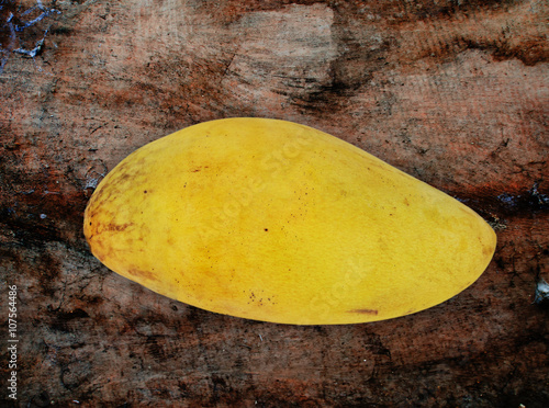Mango Yellow Gold Best summer fruit