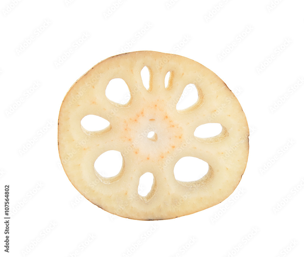 Lotus root isolated on the white background Lotus root isolated on the white background