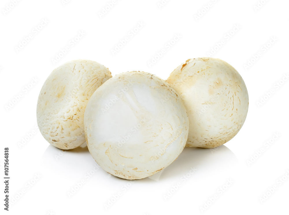 Champignon mushroom isolated on white Champignon mushroom isolated on white