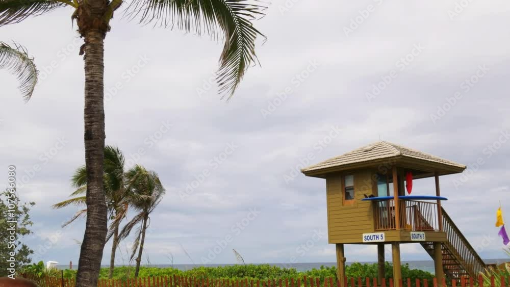 florida summer day miami beach lifeguard tower panorama 4k usa
florida summer day miami beach lifeguard tower panorama 4k usa