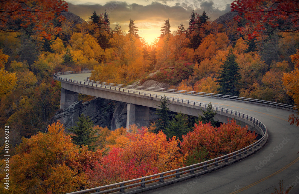 Curvy autumn road - obrazy, fototapety, plakaty 