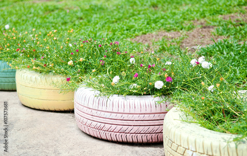 Recycle of tyre used in public park. Flowers and plant in old tire painted pastel color in garden. Recycled rubber design with folk wisdom. DIY product. Close up. photo