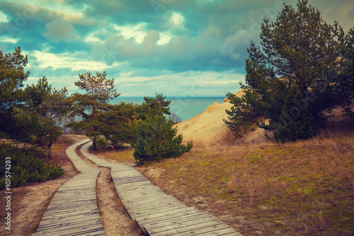 Two wooden pathways in park