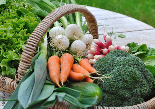 légumes frais dans panier posé sur une table de jardin