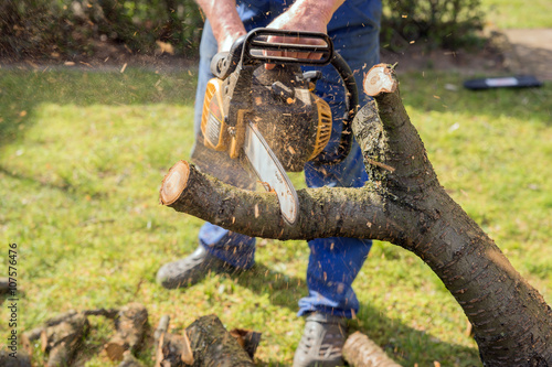 Man with chainsaw cutting the tree in the garden