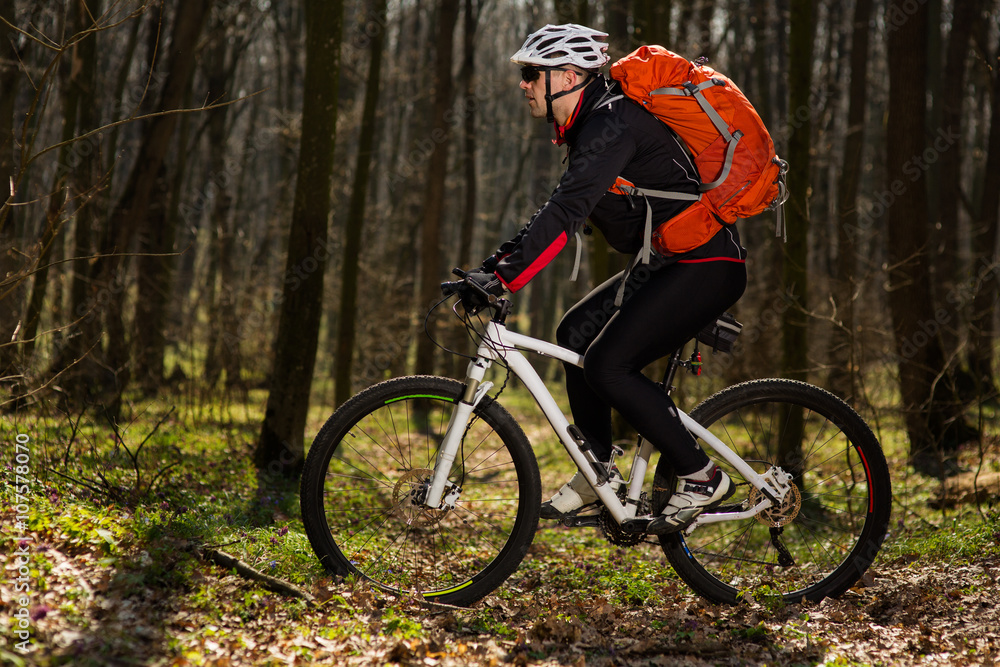 Mountain biker riding on bike in springforest landscape. 