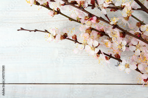 blossoming branch of a peach on white wooden background