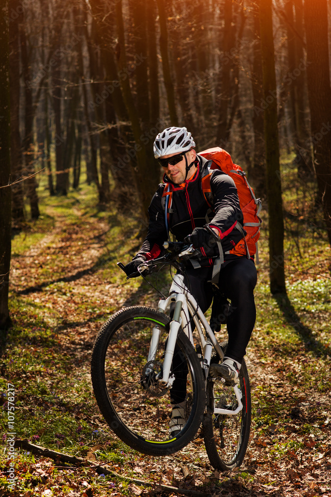 Mountain biker riding on bike in springforest landscape. Mountain biker riding on bike in springforest landscape.
