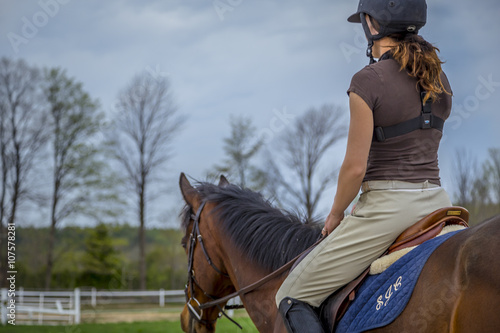 Woman Practicing on Hunter Jumper Horse in Ring