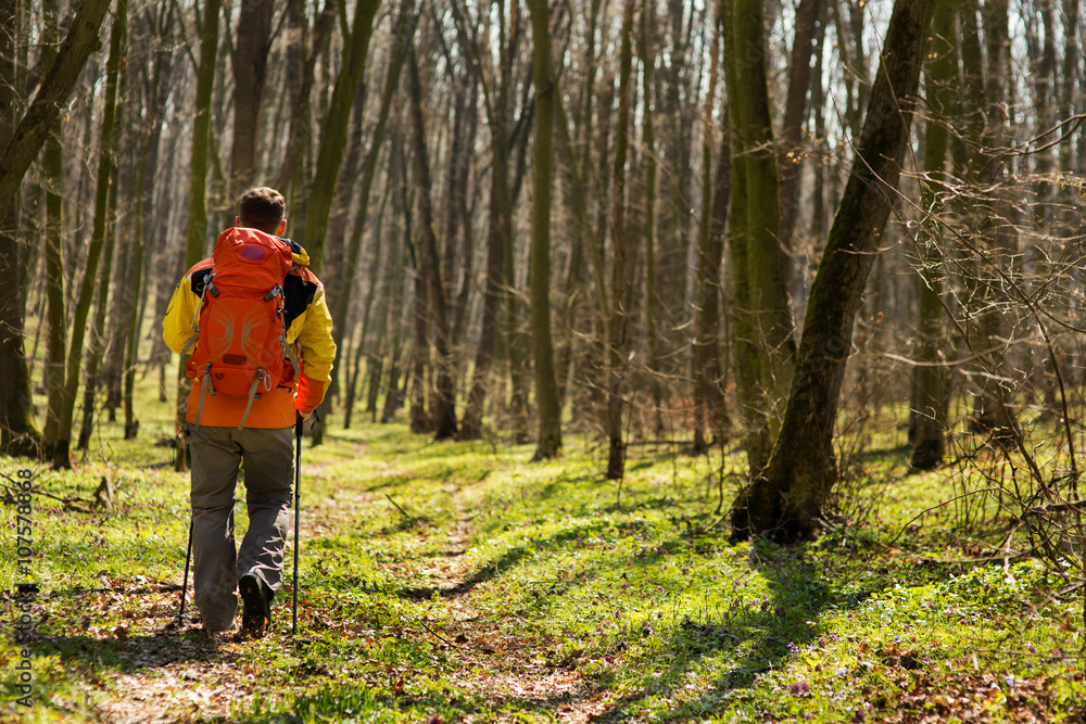 Naklejka premium Active healthy man hiking in beautiful forest
