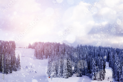 Beautiful winter landscape with snow covered trees