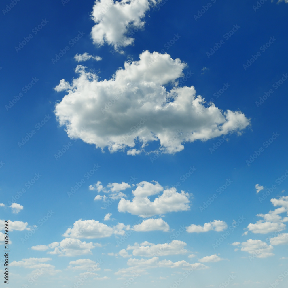 Fototapeta premium blue sky and white cumulus clouds