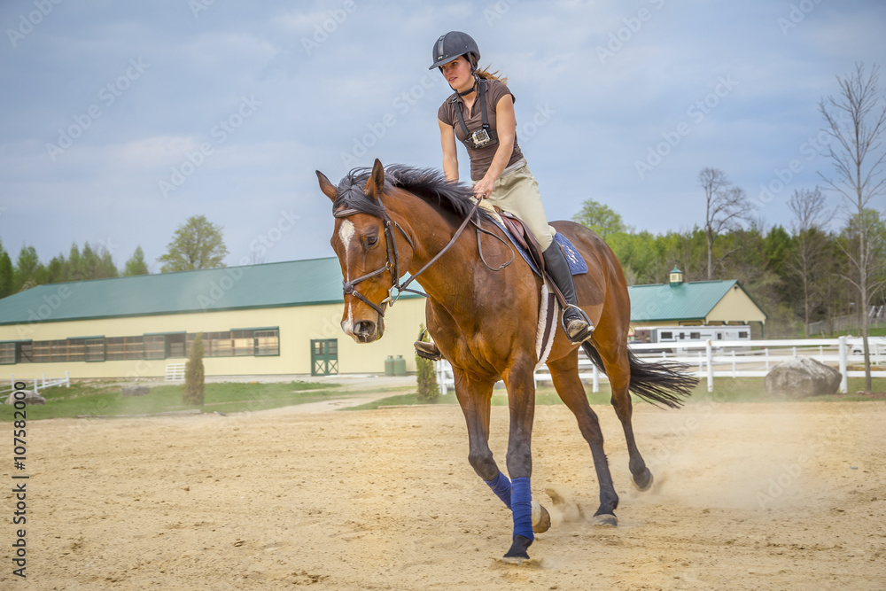Woman Practicing on Hunter Jumper Horse in Ring Woman Practicing on Hunter Jumper Horse in Ring